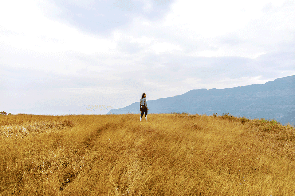 Dharana at Shillim 5*